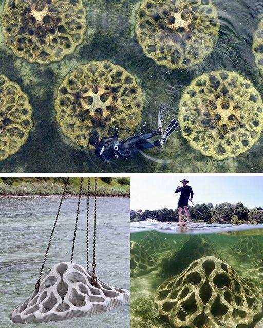 The Comprehensive Guide to Artificial Reefs